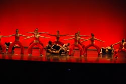 ballet performance 2009